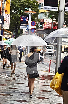 Attractive beautiful lady hold an umbrella.